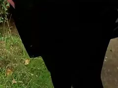 Tiny teen fucktoy იღებს განხორციელებული გარშემო bucket